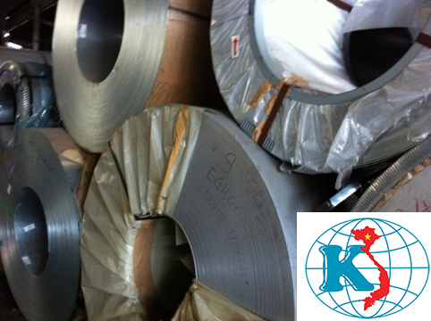 Thép cuộn cán nóng SS400,Q235B,Q345B,S355JR,A36,A572,SM490